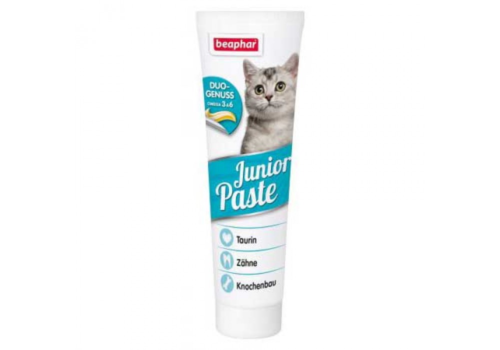 Junior Paste Katze