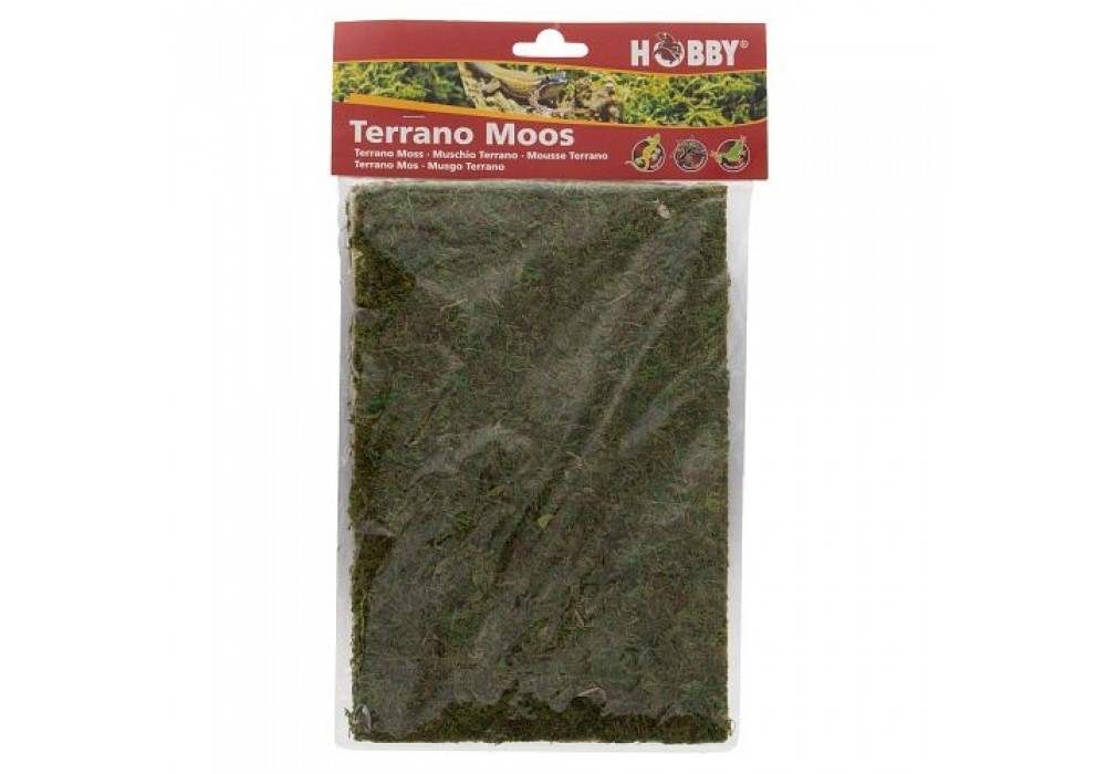 HOBBY Terrano Moos 100g (34095)