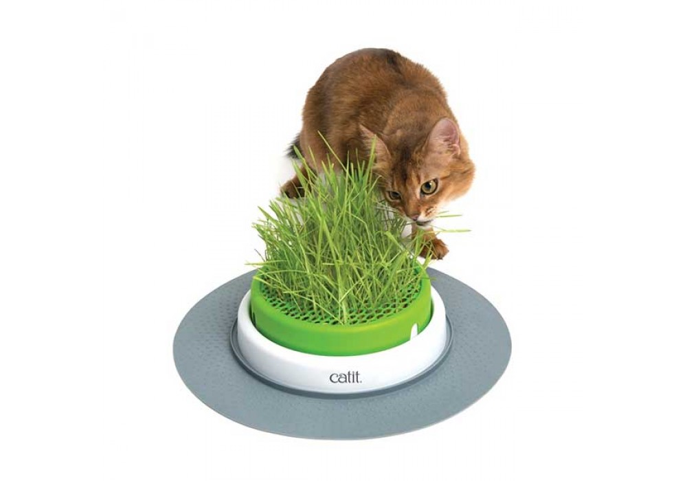 catit Senses 2.0 Grastopf Grass Planter (43161W)