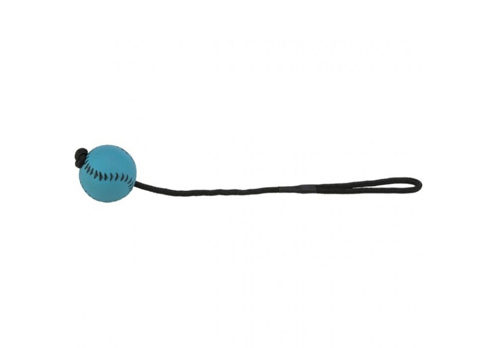 TRIXIE Hundespielzeug Sportball am Seil ø 6/30 cm schwimmt (3459)