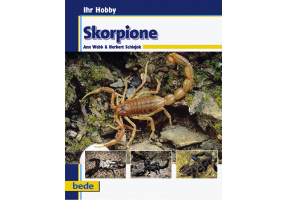 Skorpione / Webb