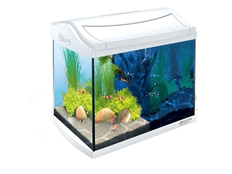 Tetra AquaArt Aquarium-Komplett-Set LED 30 L Crayfish weiß (244894)