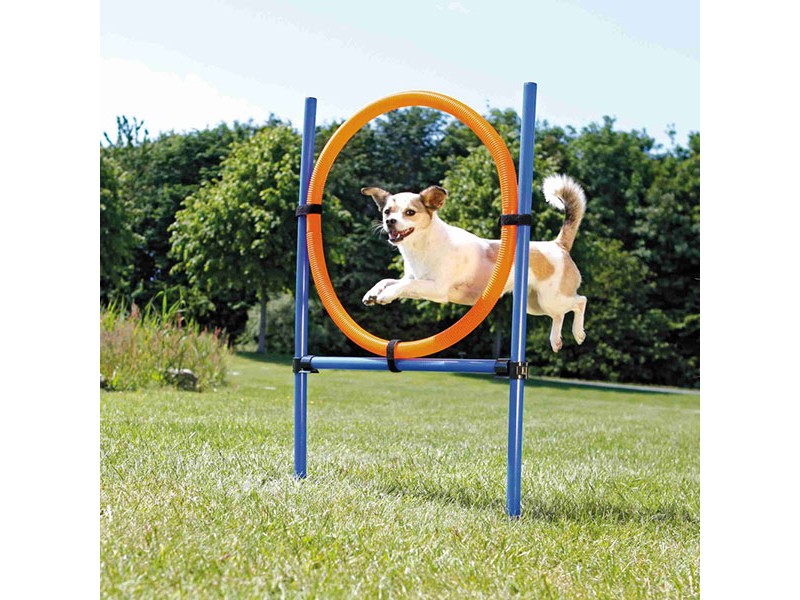 TRIXIE Hunde Sport Agility Ring 115×ø3cm, ø65cm (3208)