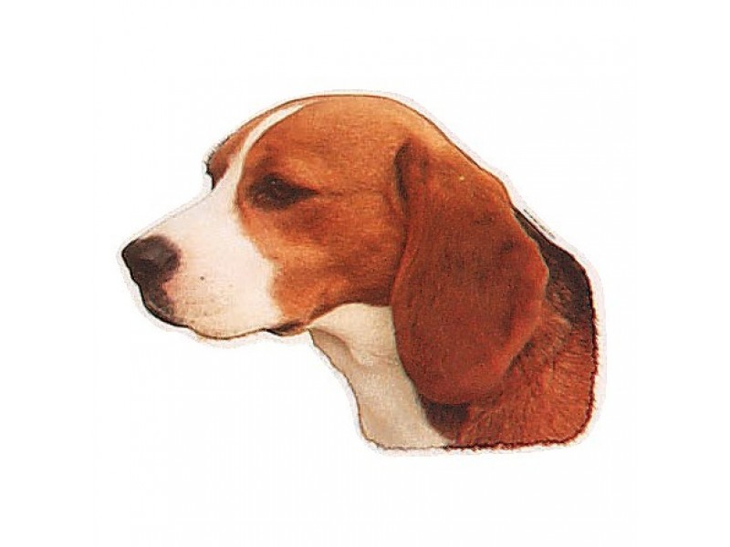  Aufkleber Beagle