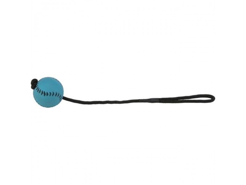 TRIXIE Hundespielzeug Sportball am Seil ø 6/30 cm schwimmt (3459)