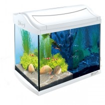 Tetra AquaArt Aquarium-Komplett-Set LED 30 L Crayfish weiß (244894)