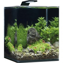 Dennerle Nano Cube Complete Plus 20 l StyleLED (5583)