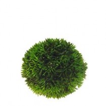 Plant Ball