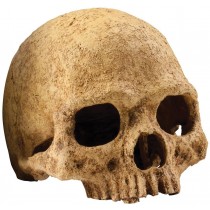 Exo Terra Totenkopf Primate Skull 17x13,5x11,5cm (PT2855)