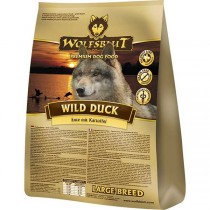 Wild Duck Large Breed