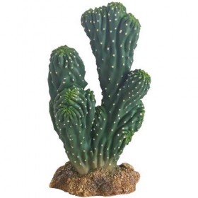 HOBBY Kaktus Victoria 19cm (37019)