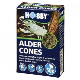 HOBBY Alder Cones Schwarzerlenzapfen 50 St. (51115)
