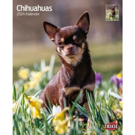 TRIXIE Kalender - Chihuahuas (12552)