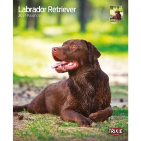 TRIXIE Kalender - Labrador Retriever (12568)