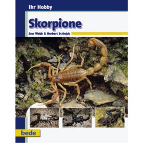 Bede Verlag Skorpione / Webb