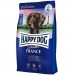 HAPPY DOG Sensible France 4kg mit Gourmet-Ente (60556)