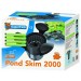 Pond Skim 2000