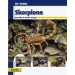 Skorpione / Webb